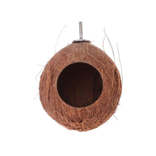 small animal supplies hamster coconut shell hanging cave creative sleeping nest for squirrel birds (random diameter)
small animal supplies hamster coconut shell hanging cave creative sleeping nest for squirrel birds (random diameter)