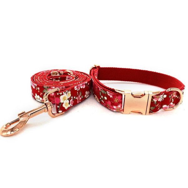 dog collars & leashes leash and collar set exceptionally elegant adjustable in different lengths perfect for medium to large engraved name
dog collars & leashes leash and collar set exceptionally elegant adjustable in different lengths perfect for medium to large engraved name