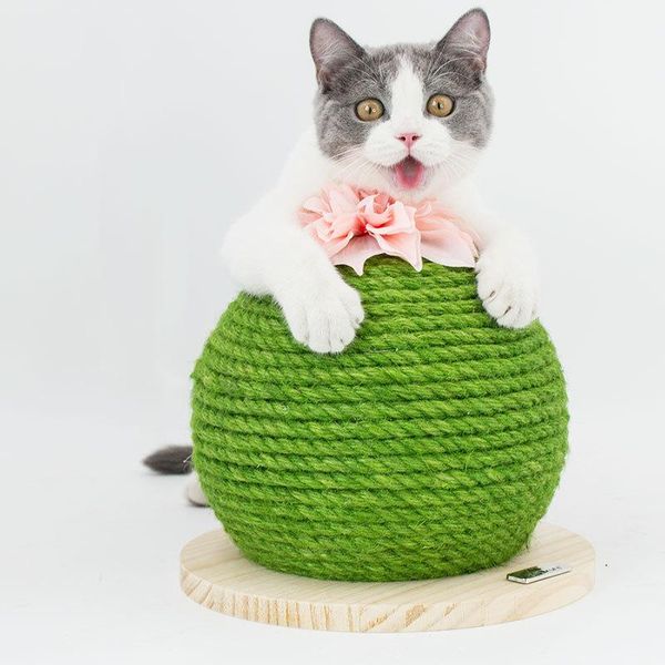 cat toys aapet 1pc sisal pet toy ball shape with flower scratcher for kitten interactive training scratching
cat toys aapet 1pc sisal pet toy ball shape with flower scratcher for kitten interactive training scratching