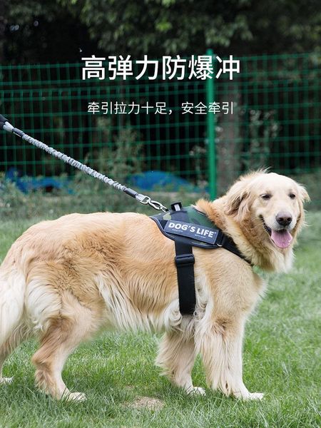 dog collars & leashes breathable harness for small puppy cat vest harnesses neck collar chest strap leash pet products oo50xq
dog collars & leashes breathable harness for small puppy cat vest harnesses neck collar chest strap leash pet products oo50xq