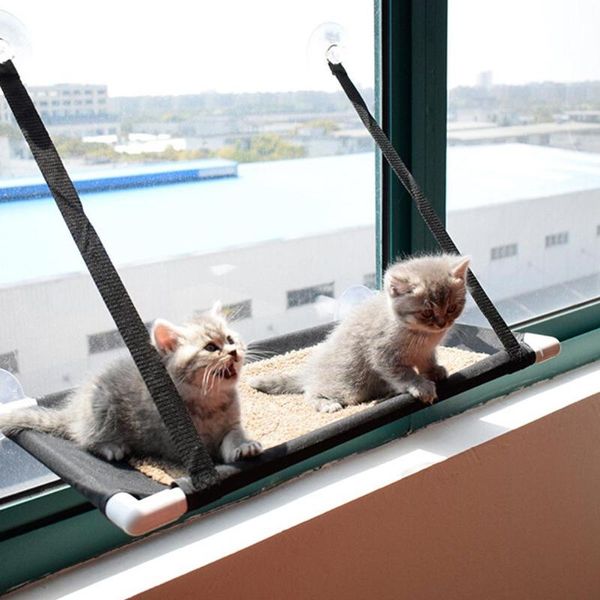 pet kitten sun bed suction cup window door wall mount hanging cats hammock cat sleeping bag house beds & furniture
pet kitten sun bed suction cup window door wall mount hanging cats hammock cat sleeping bag house beds & furniture