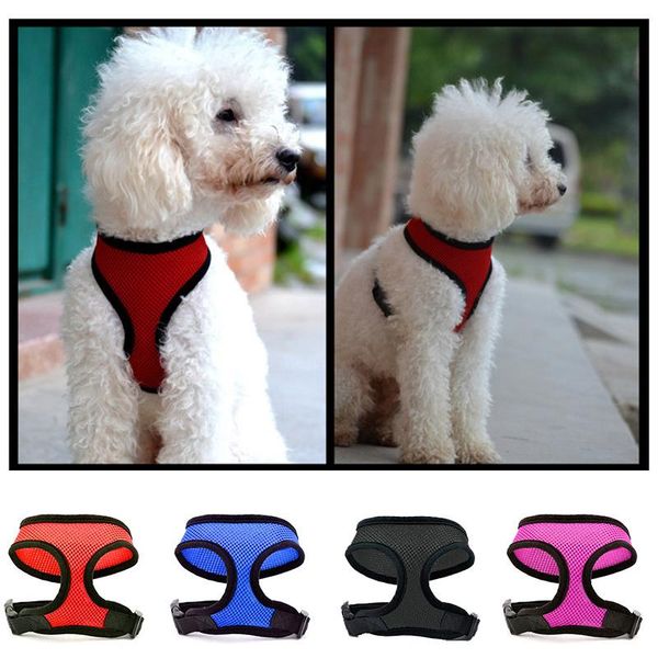 dog collars & leashes puppy collar cat pet chest strap leash classic harness innovative mesh adjustable for small and medium dogs
dog collars & leashes puppy collar cat pet chest strap leash classic harness innovative mesh adjustable for small and medium dogs