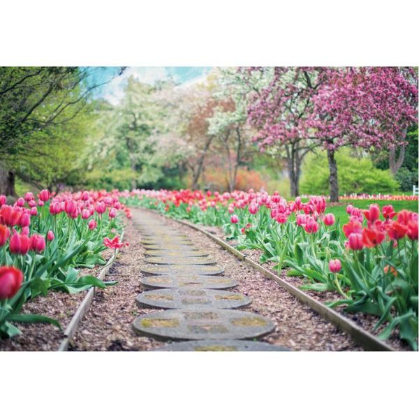 party decoration natural scenery backdrop garden path in spring landscape pography background decor born wedding po booth prop
party decoration natural scenery backdrop garden path in spring landscape pography background decor born wedding po booth prop