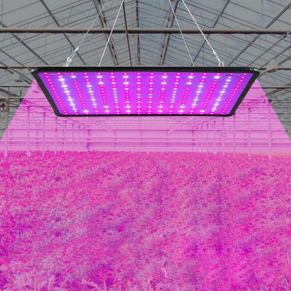 grow lights 85-265v us/eu plug led plant light full spectrum phyto lamp for plants greenhouse growth lighting 360 grade
grow lights 85-265v us/eu plug led plant light full spectrum phyto lamp for plants greenhouse growth lighting 360 grade