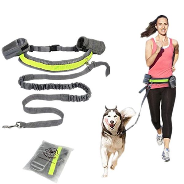 hand elastic puppy dog leash adjustable padded waist reflective running jogging walking pet lead belt with pouch bags collars & leashes
hand elastic puppy dog leash adjustable padded waist reflective running jogging walking pet lead belt with pouch bags collars & leashes