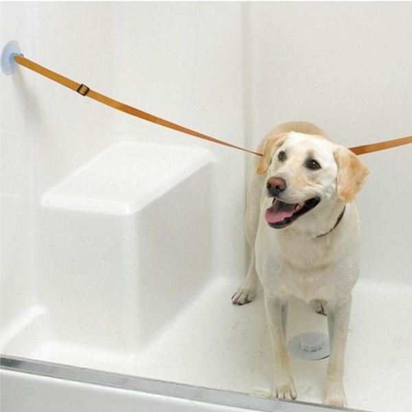 dog collars & leashes 2 pieces pet cat bathing straps leash bath beauty fixed rope bathtub suction cup
dog collars & leashes 2 pieces pet cat bathing straps leash bath beauty fixed rope bathtub suction cup
