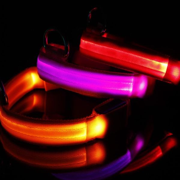 dog collars & leashes reflective pet cat collar light night safety led flashing glow supplies accessories for small wlyang
dog collars & leashes reflective pet cat collar light night safety led flashing glow supplies accessories for small wlyang