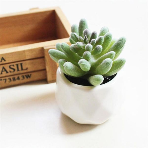 decorative flowers & wreaths 1pc artificial flower succulent plant bonsai diy garden office home party decor
decorative flowers & wreaths 1pc artificial flower succulent plant bonsai diy garden office home party decor