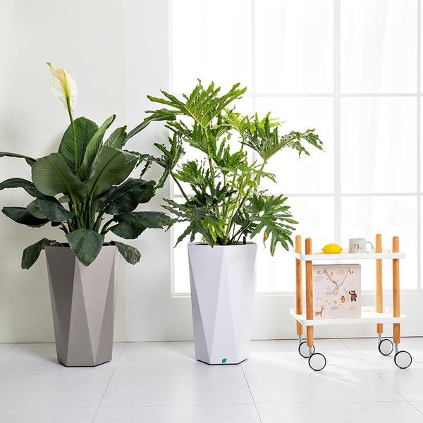 decorative objects & figurines creative automatic water absorption square plastic resin plant pot thickened household lazy flower plants bon
decorative objects & figurines creative automatic water absorption square plastic resin plant pot thickened household lazy flower plants bon