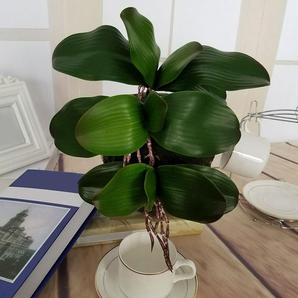 real touch artificial green butterfly orchid plastic leaf beauty plant home decor for wedding 1pc diy gift decorative flowers & wreaths
real touch artificial green butterfly orchid plastic leaf beauty plant home decor for wedding 1pc diy gift decorative flowers & wreaths