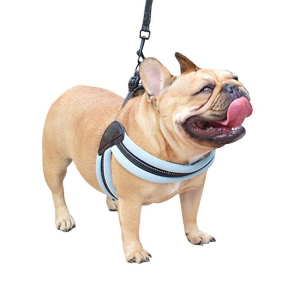 dog collars & leashes trsnser harness pet night safety reflective traction rope chest strap leash set adjustable arnais pour chien 19mer27 p
dog collars & leashes trsnser harness pet night safety reflective traction rope chest strap leash set adjustable arnais pour chien 19mer27 p