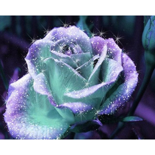diamond painting full square round 5d diy flower "magic rose"diamond embroidery cross stitch rhinestone mosaic
diamond painting full square round 5d diy flower "magic rose"diamond embroidery cross stitch rhinestone mosaic
