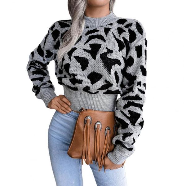 women's sweaters women sweater leopard pattern round neck autumn winter long sleeve warm knitted for gathering, White;black
women's sweaters women sweater leopard pattern round neck autumn winter long sleeve warm knitted for gathering, White;black