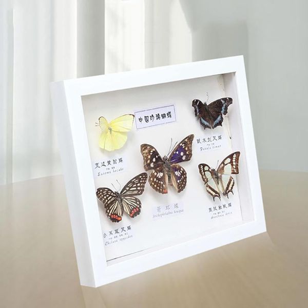 frames immortal flower hollow po frame 8 inch depth 6cm,insect/flower specimen box decoration,diy diamond painting
frames immortal flower hollow po frame 8 inch depth 6cm,insect/flower specimen box decoration,diy diamond painting