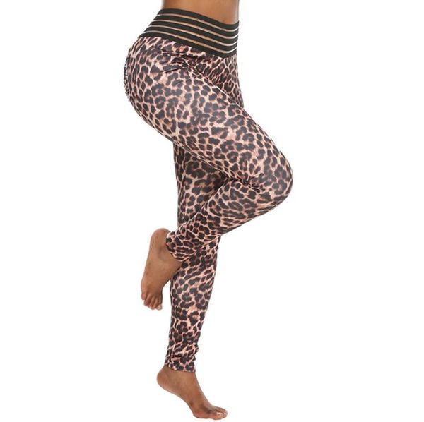 women's pants & capris leggings women sweatpants fitness sports high waist breathable quick drying running joggers leopard print pocket, Black;white
women's pants & capris leggings women sweatpants fitness sports high waist breathable quick drying running joggers leopard print pocket, Black;white