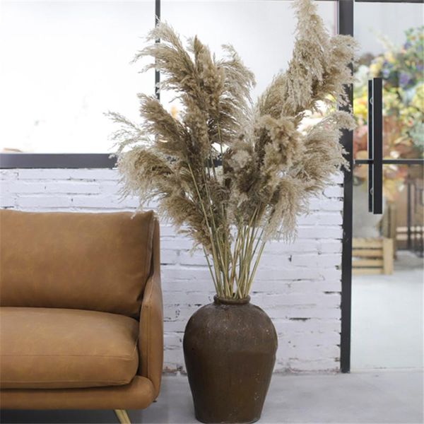 decorative flowers & wreaths 10pcs natural dried pampas grass phragmites diy real plants for decor home wedding decoration
decorative flowers & wreaths 10pcs natural dried pampas grass phragmites diy real plants for decor home wedding decoration