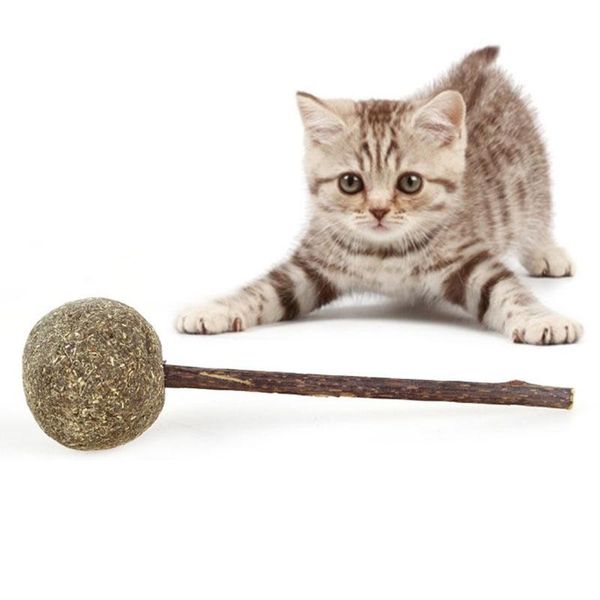 cat toys natural catnip cleaning teeth pet molar toothpaste stick lollipops sticks supplies 1pcs
cat toys natural catnip cleaning teeth pet molar toothpaste stick lollipops sticks supplies 1pcs