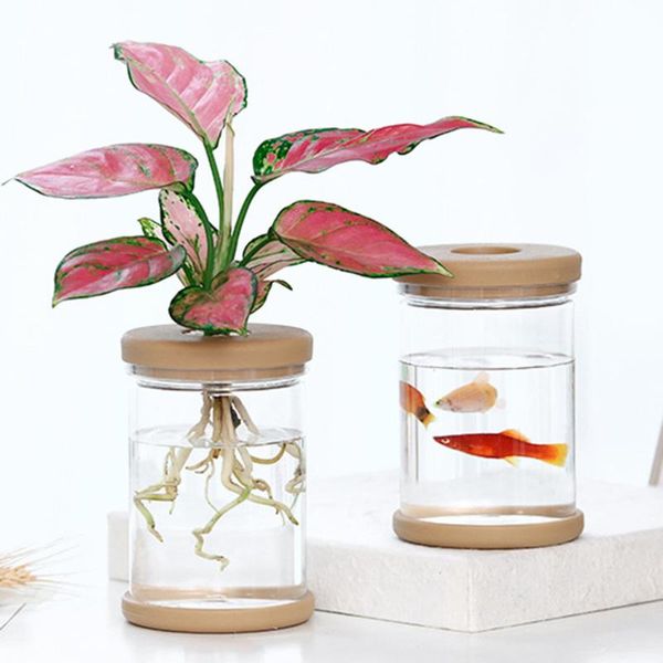 planters & pots 2pcs clear hydroponic flower pot planter for grow small potted plants drought-resistant durable garden
planters & pots 2pcs clear hydroponic flower pot planter for grow small potted plants drought-resistant durable garden