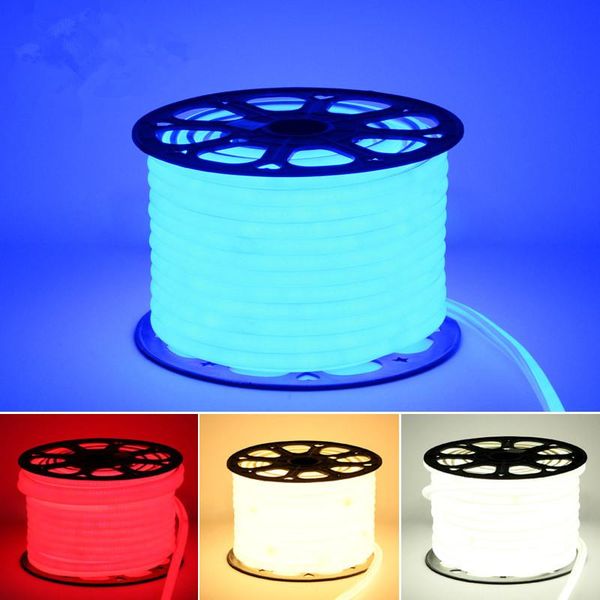 strips 220v 230v led neon rope strip ribbon light 2835 tape waterproof ip65 ip67 with power plug rgb warm white blue green red pink
strips 220v 230v led neon rope strip ribbon light 2835 tape waterproof ip65 ip67 with power plug rgb warm white blue green red pink
