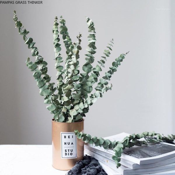 decorative flowers & wreaths 20pcs dried eucalyptus branches natural wedding party home decoration diy craft1
decorative flowers & wreaths 20pcs dried eucalyptus branches natural wedding party home decoration diy craft1