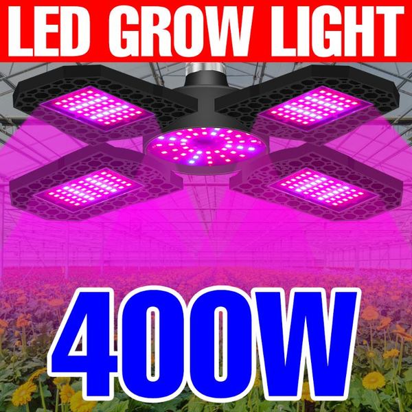 full spectrum led grow lights 220v lamp plant seeds bulb 200 300 400w hydroponics lampara greenhouse growth tent box
full spectrum led grow lights 220v lamp plant seeds bulb 200 300 400w hydroponics lampara greenhouse growth tent box