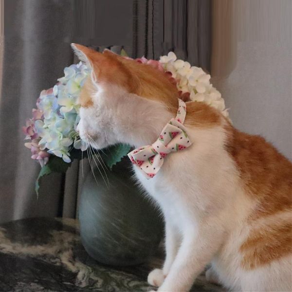 cat collars & leads summer style small cute printed pattern dog and leashes pet for wholesale
cat collars & leads summer style small cute printed pattern dog and leashes pet for wholesale