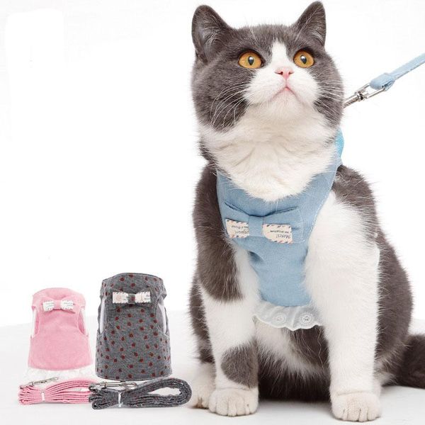 denim cotton soft cat leash and set cute bowknot kitten chain dot print harness for cats pet accessories collars & leads
denim cotton soft cat leash and set cute bowknot kitten chain dot print harness for cats pet accessories collars & leads