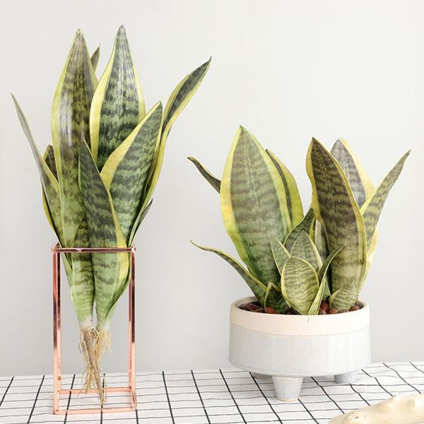 decorative flowers & wreaths nordic style succulents luxury plastic artificial faux foliage for home garden pot decorations fake desert plan
decorative flowers & wreaths nordic style succulents luxury plastic artificial faux foliage for home garden pot decorations fake desert plan
