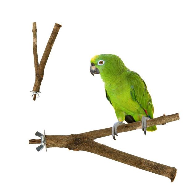 other bird supplies 15cm pet play toys hanging wood branch parakeet cage stand perches wooden resk holder platform
other bird supplies 15cm pet play toys hanging wood branch parakeet cage stand perches wooden resk holder platform