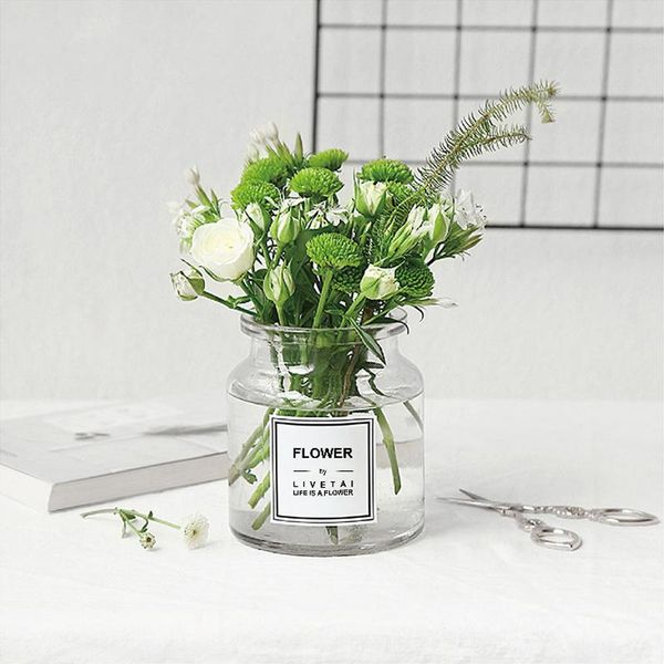 vases nordic wide mouth transparent glass vase hydroponic retro flower home decoration
vases nordic wide mouth transparent glass vase hydroponic retro flower home decoration