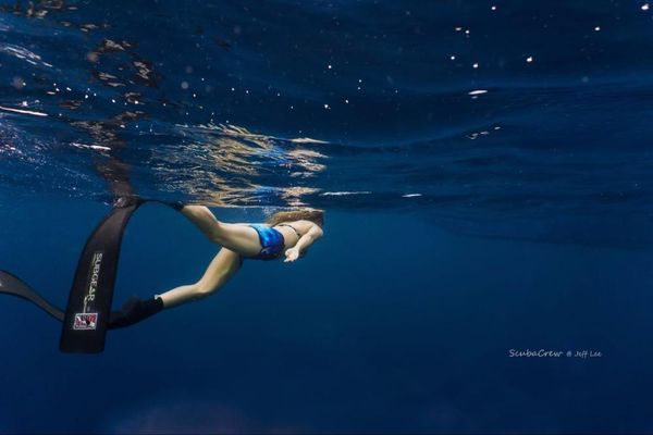 one-piece suits water pro board short beach shorts sports polyester man&woman
one-piece suits water pro board short beach shorts sports polyester man&woman