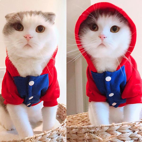 cat costumes cartoon pet hoodies coat cotton clothes for cats winter costume kedi sweatshirt katten clothing products pets
cat costumes cartoon pet hoodies coat cotton clothes for cats winter costume kedi sweatshirt katten clothing products pets