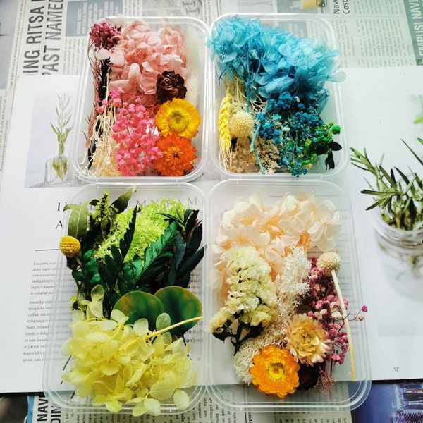 decorative flowers & wreaths 1 box natural dried flower dry plants for diy epoxy resin craft jewelry making candle accessories
decorative flowers & wreaths 1 box natural dried flower dry plants for diy epoxy resin craft jewelry making candle accessories