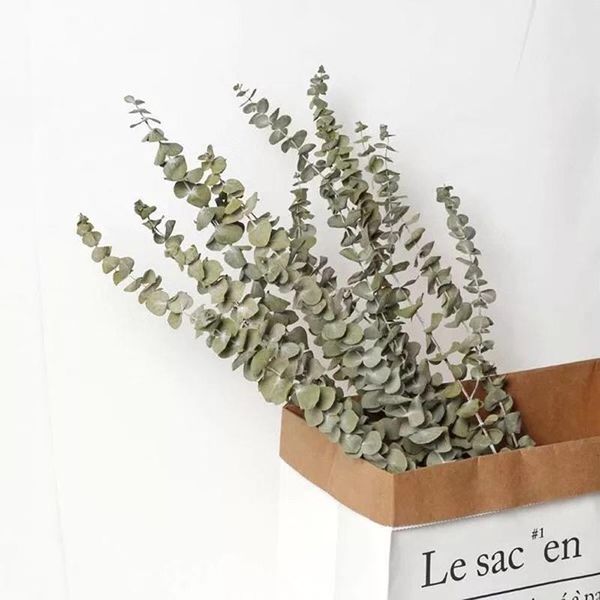 decorative flowers & wreaths 9pcs dried nature eucalyptus,diy eternell floral,wedding favor advent wreath home valentine'day gift decor
decorative flowers & wreaths 9pcs dried nature eucalyptus,diy eternell floral,wedding favor advent wreath home valentine'day gift decor