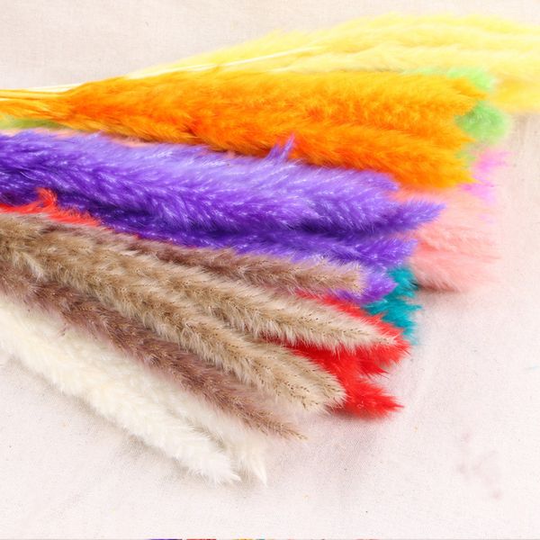 15pcs/bunch natural reed dried flowers small pampas grass home for decor plants diy wedding vase decoration salon
15pcs/bunch natural reed dried flowers small pampas grass home for decor plants diy wedding vase decoration salon
