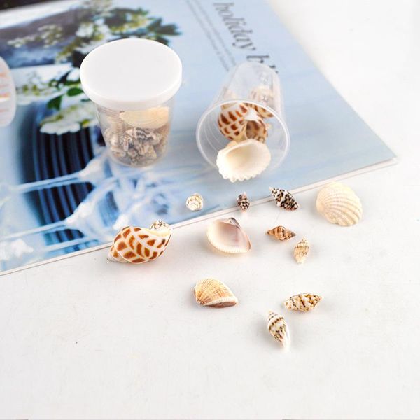 novelty items 1 box conch seashell handmade crystal epoxy mold jewelry accessories filling micro landscape craft ornaments keycaps
novelty items 1 box conch seashell handmade crystal epoxy mold jewelry accessories filling micro landscape craft ornaments keycaps