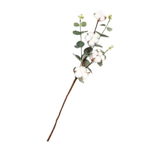 decorative flowers & wreaths 1pc cotton bouquet decor realistic simulation flower ornament for household
decorative flowers & wreaths 1pc cotton bouquet decor realistic simulation flower ornament for household