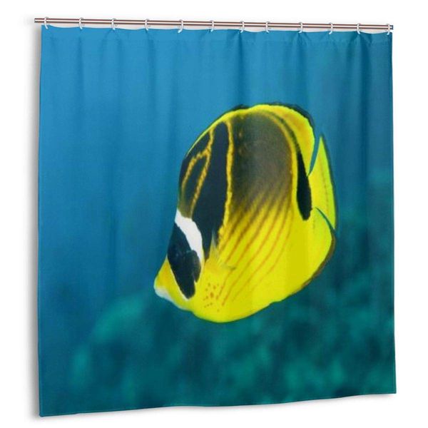 shower curtain,creative sea animal fish under sea traveler,custom design waterproof shower curtains bathroom decor include
shower curtain,creative sea animal fish under sea traveler,custom design waterproof shower curtains bathroom decor include
