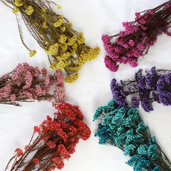 bunch eternal rice flowers millet real dried bouquet living room wedding decoration shooting props home decor scene layout decorative & wrea
bunch eternal rice flowers millet real dried bouquet living room wedding decoration shooting props home decor scene layout decorative & wrea