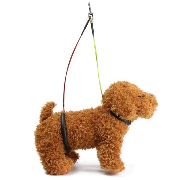 1pc cat dog standing training restraint leash no-sit pet haunch holder grooming table adjustable collars & leashes
1pc cat dog standing training restraint leash no-sit pet haunch holder grooming table adjustable collars & leashes