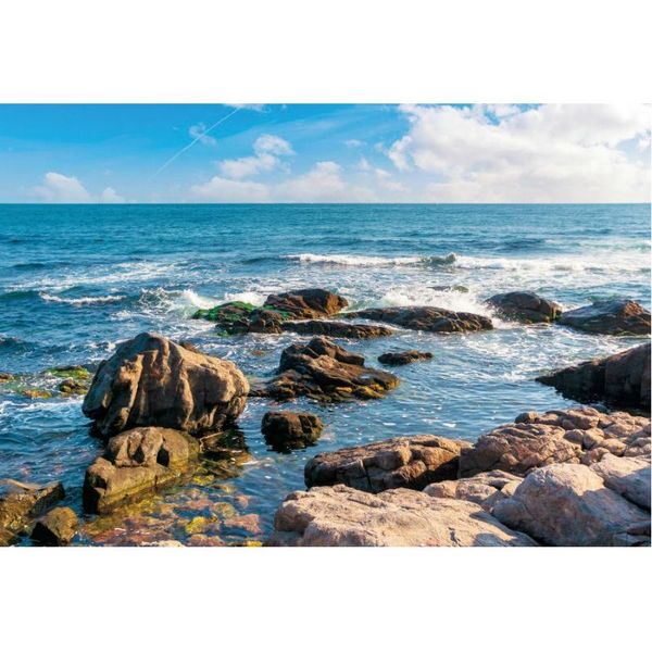 party decoration landscape backdrop sunny weather reef ocean scenery background decor born wedding pography po booth studio props
party decoration landscape backdrop sunny weather reef ocean scenery background decor born wedding pography po booth studio props