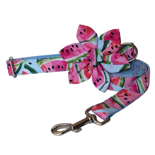 dog collars & leashes flower collar and leash set personalized customized pet for small medium large
dog collars & leashes flower collar and leash set personalized customized pet for small medium large