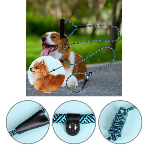 dog collars & leashes wearable pet leash soft handle all-matched nylon braid traction rope belt
dog collars & leashes wearable pet leash soft handle all-matched nylon braid traction rope belt