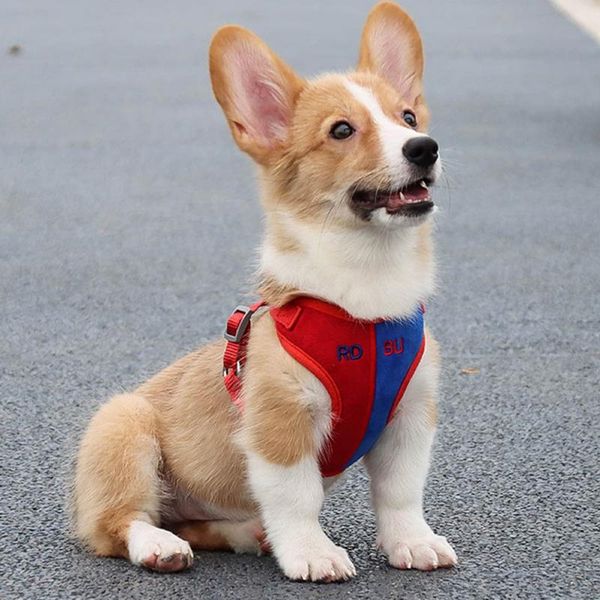 dog harness comfortable two-color breathable puppy traction rope light pets accessories adjustable chest strap harnesses collars & leashes
dog harness comfortable two-color breathable puppy traction rope light pets accessories adjustable chest strap harnesses collars & leashes
