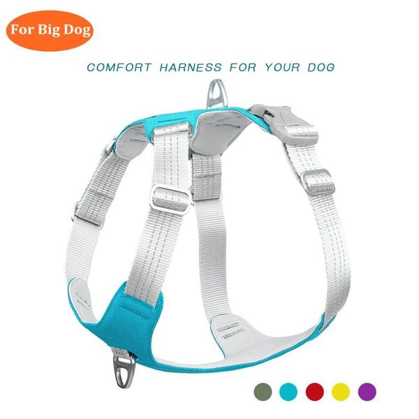 dog collars & leashes 2021 alloy reflective big sports harnesses vest explosion proof for model
dog collars & leashes 2021 alloy reflective big sports harnesses vest explosion proof for model