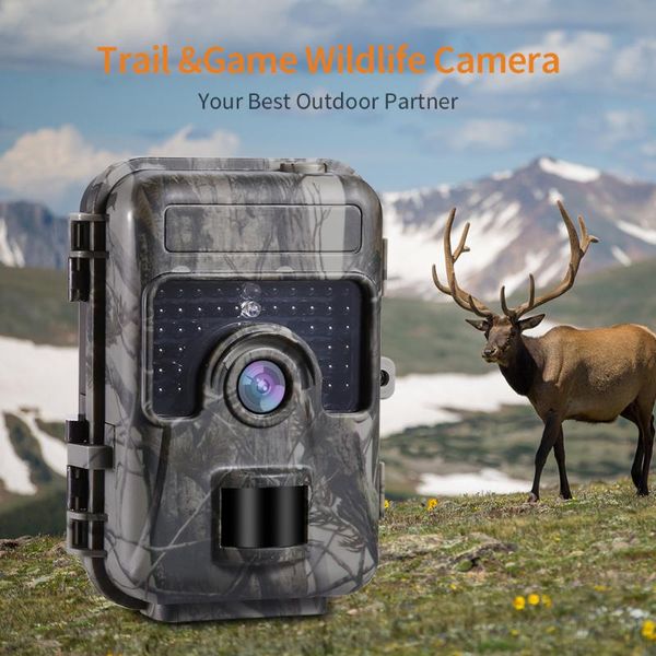 hd trail hunting camera farm wlidlife scout infrared night vsion led cam motion detection ip66 cameras
hd trail hunting camera farm wlidlife scout infrared night vsion led cam motion detection ip66 cameras