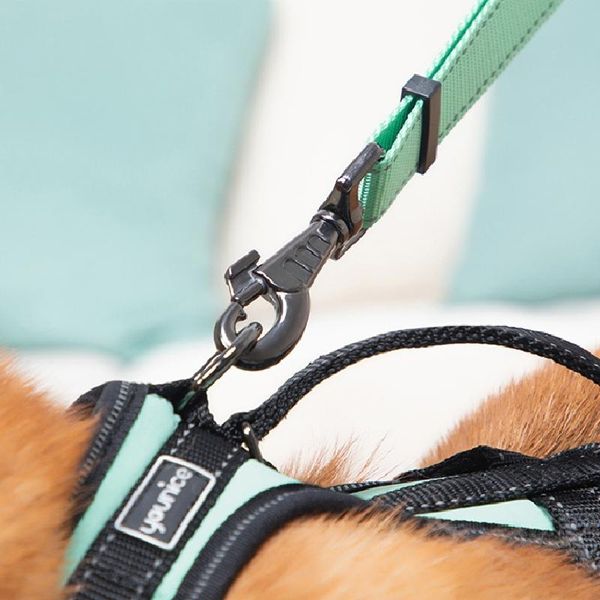 dog collars & leashes fashion adjustable nylon reflective pet leash lead black strong metal training small large bulk sale silver harness ve
dog collars & leashes fashion adjustable nylon reflective pet leash lead black strong metal training small large bulk sale silver harness ve