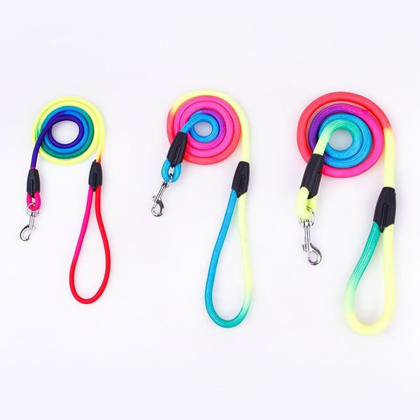 dog collars & leashes 2021 pets use nylon rope rainbow colorful line cute small leads big size supplier
dog collars & leashes 2021 pets use nylon rope rainbow colorful line cute small leads big size supplier