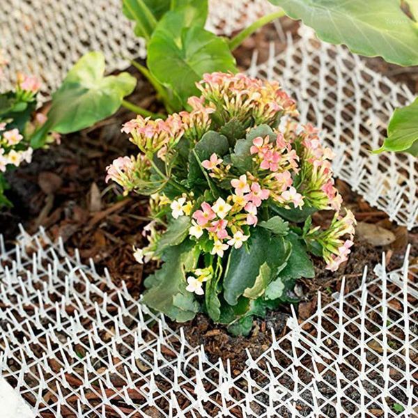 cat carriers,crates & houses repellent mat with spikes prickle strips anti-cat pest spike deterrent for outdoor garden dcs
cat carriers,crates & houses repellent mat with spikes prickle strips anti-cat pest spike deterrent for outdoor garden dcs