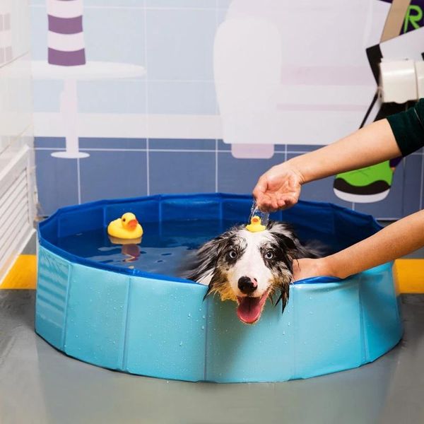 kennels & pens dog pool pet bath summer outdoor portable swimming pools indoor wash bathing tub foldable collapsible bathtub for dogs cats k
kennels & pens dog pool pet bath summer outdoor portable swimming pools indoor wash bathing tub foldable collapsible bathtub for dogs cats k